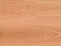 Q.S. ELIGNA 866 HAYA AC4/32 1380x156x8mm