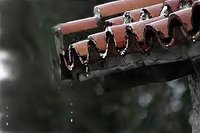 Leer mensaje completo: Prepara tu tejado para las lluvias