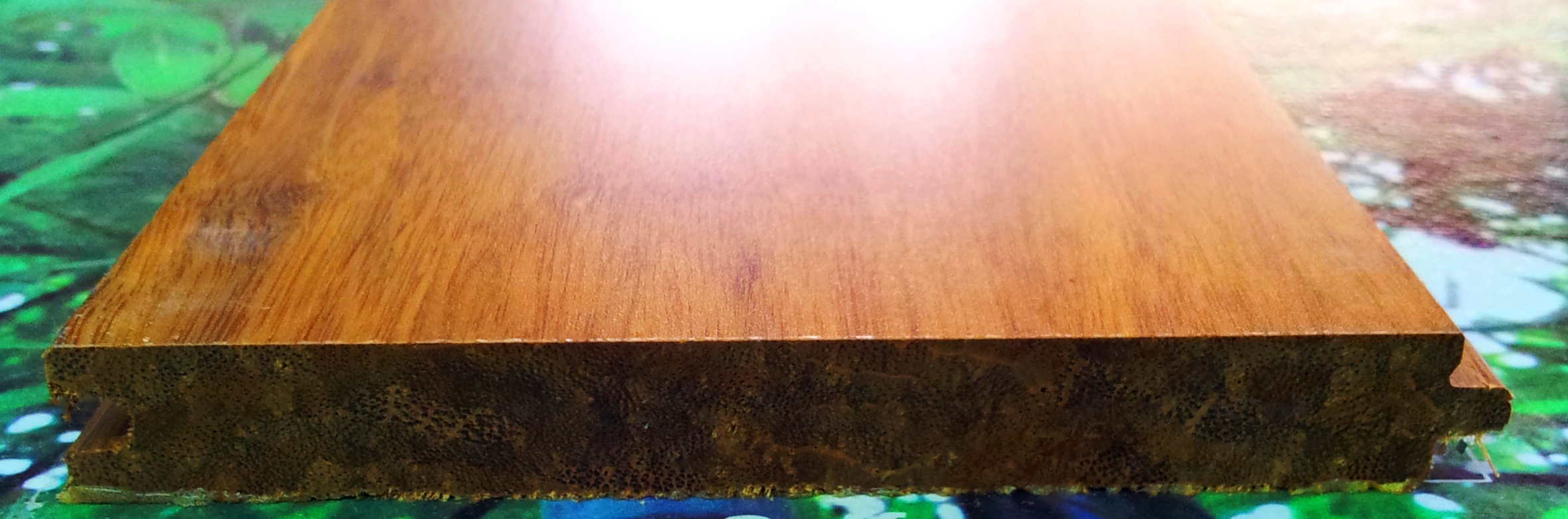 20120517_122959.jpg