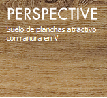 perspective.JPG